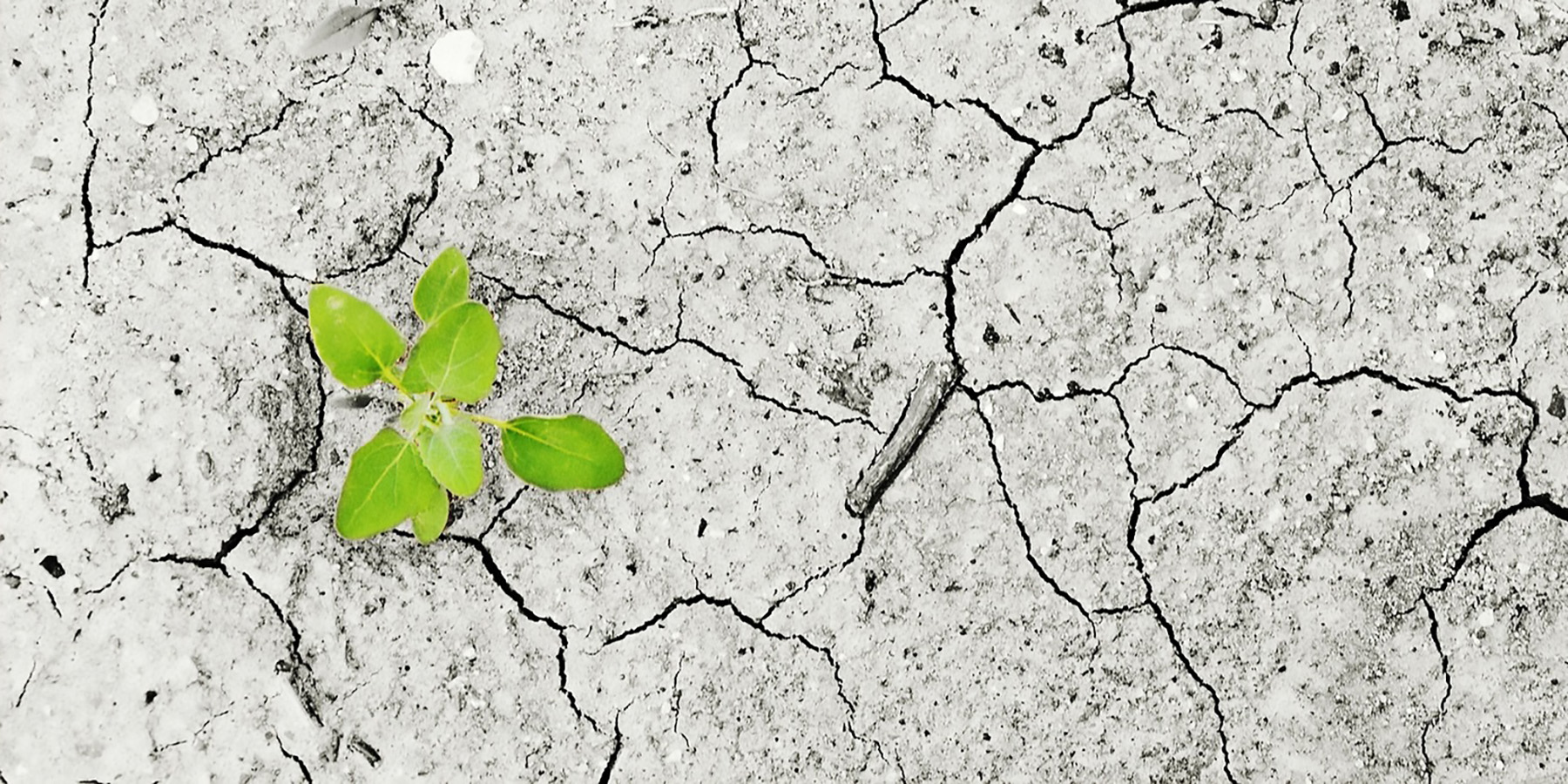 Which Stocks to Buy During a Recession? Fincier