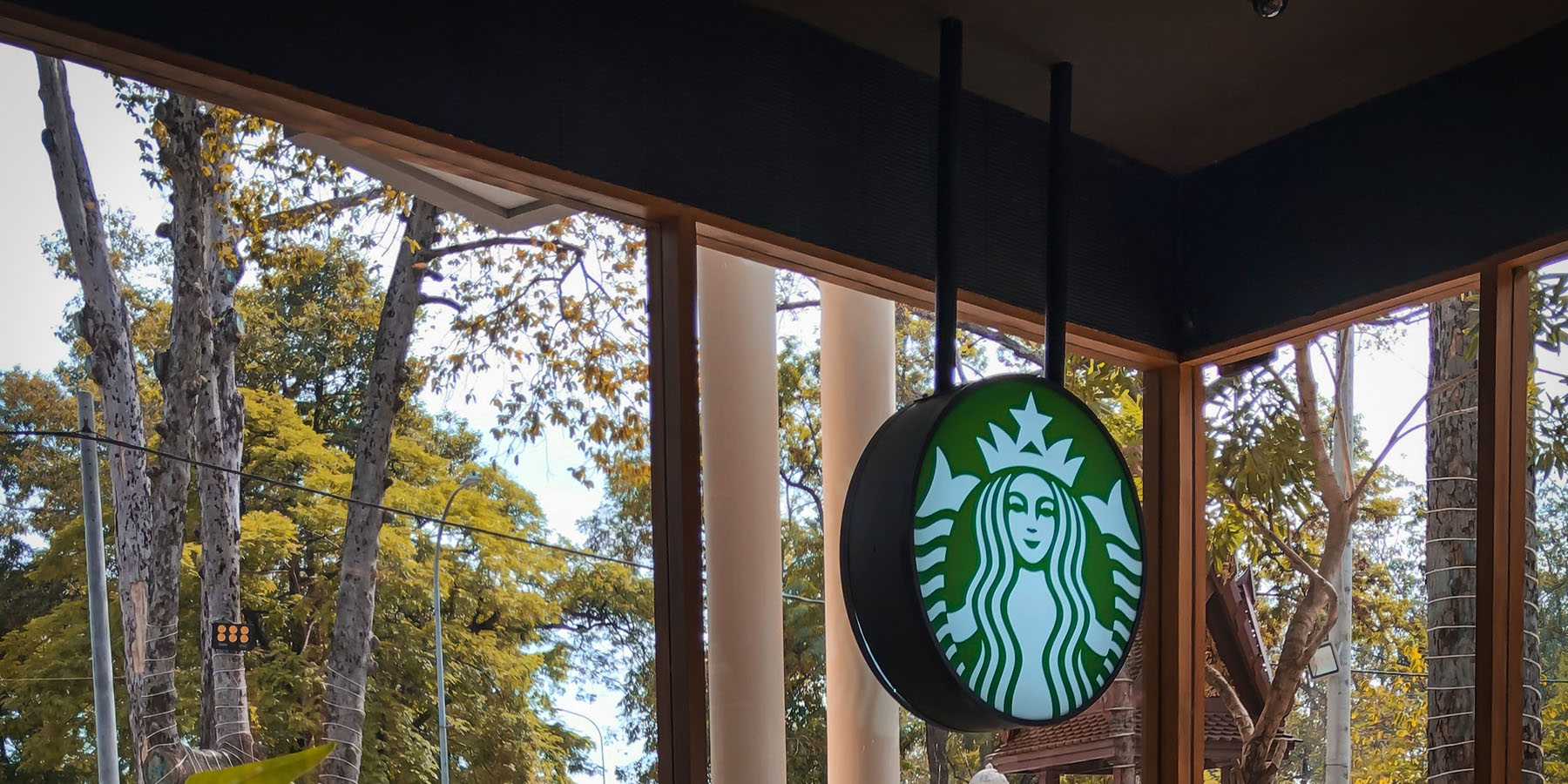 Starbucks Stock Advantages and Disadvantages Fincier